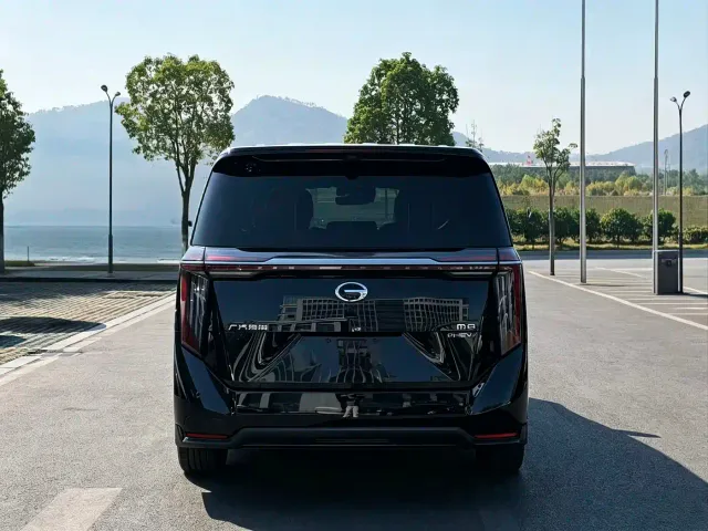 GAC Trumpchi Xiangwang M8 — Фото автомобиля 10