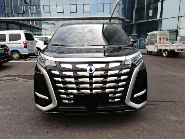 Denza D9 — Фото автомобиля 2