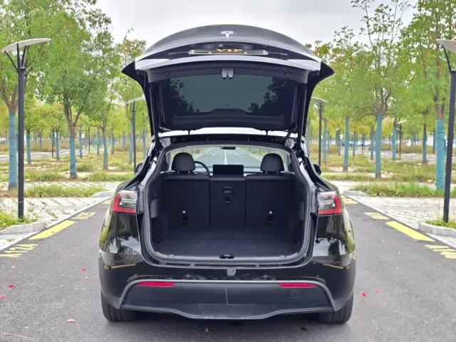 Tesla Model Y — Фото автомобиля 22