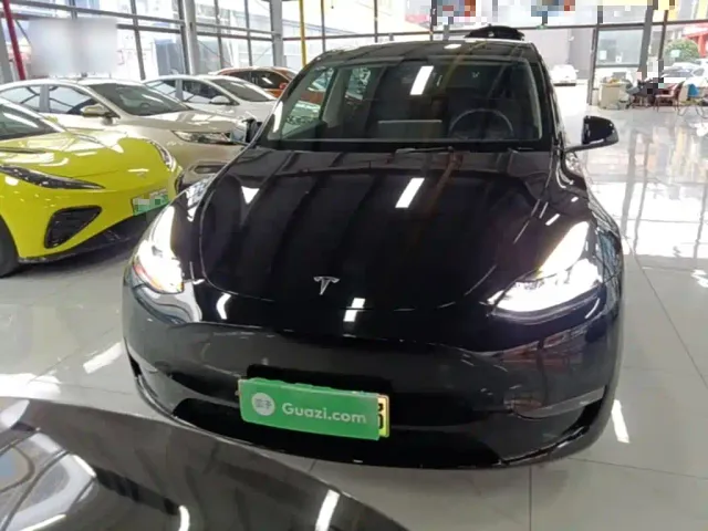 Tesla Model Y — Фото автомобиля 2