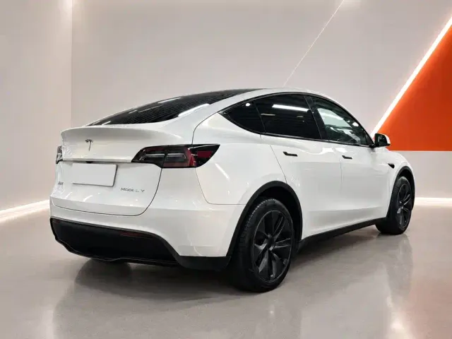 Tesla Model Y — Фото автомобиля 6