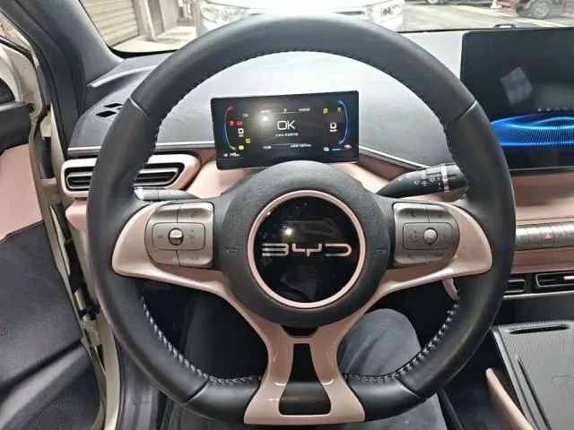 BYD Seagull — Фото автомобиля 10