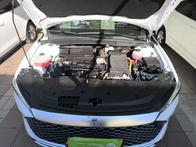 BYD Qin PLUS — Фото автомобиля 19