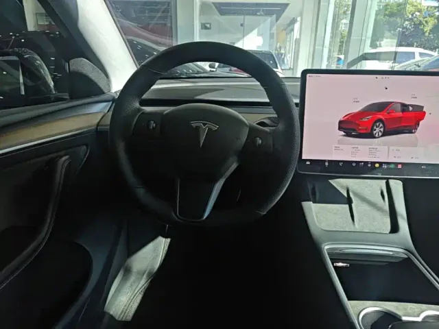Tesla Model Y — Фото автомобиля 10