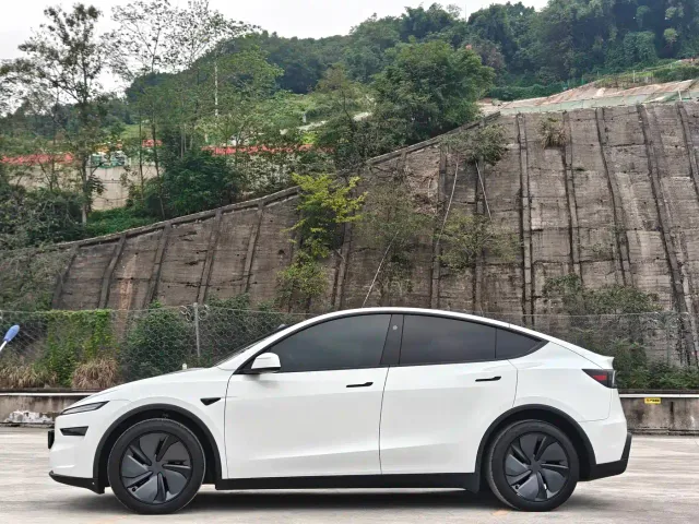 Tesla Model Y — Фото автомобиля 10