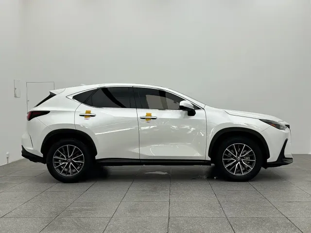 Lexus NX — Фото автомобиля 7