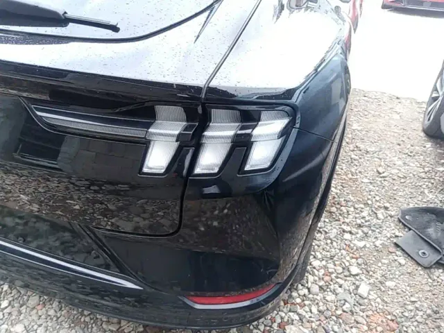 Ford Mustang Mach-E — Фото автомобиля 7