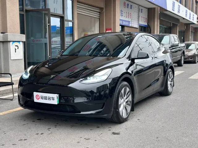 Tesla Model Y — Фото автомобиля 2
