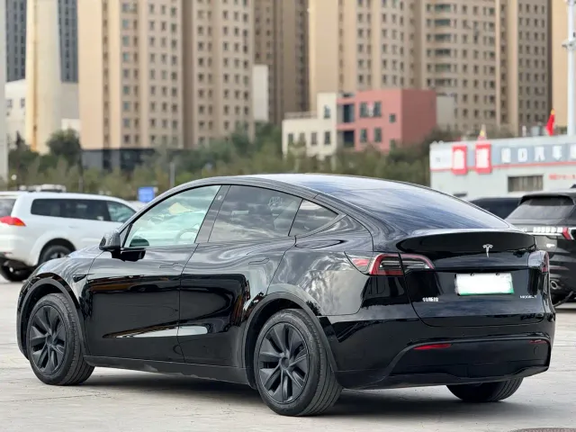Tesla Model Y — Фото автомобиля 7