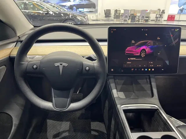 Tesla Model Y — Фото автомобиля 10