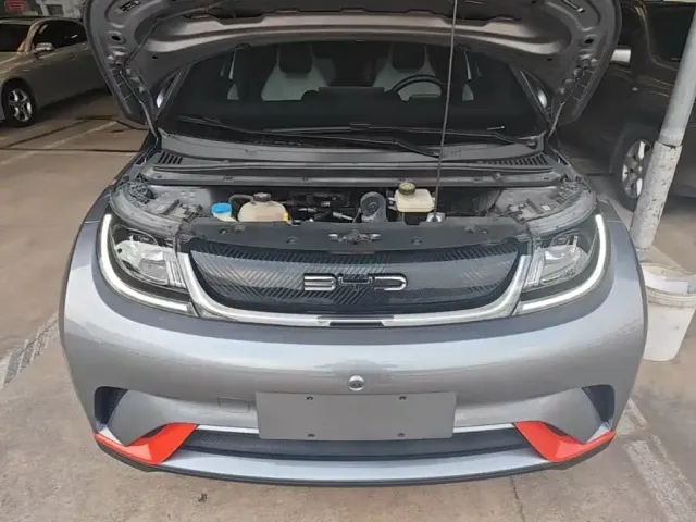 BYD Dolphin 2021 Model 405km Fashion Edition — Фото автомобиля 19