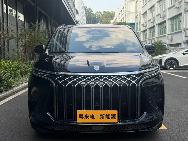 Forthing Xinghai V9 — Фото автомобиля 2