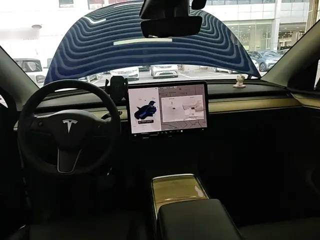 Tesla Model Y — Фото автомобиля 9