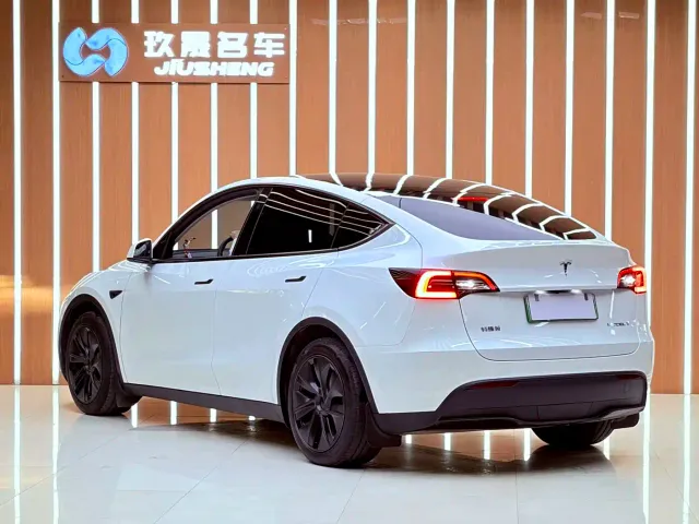 Tesla Model Y — Фото автомобиля 19