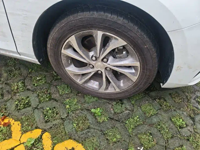 Buick Verano — Фото автомобиля 24