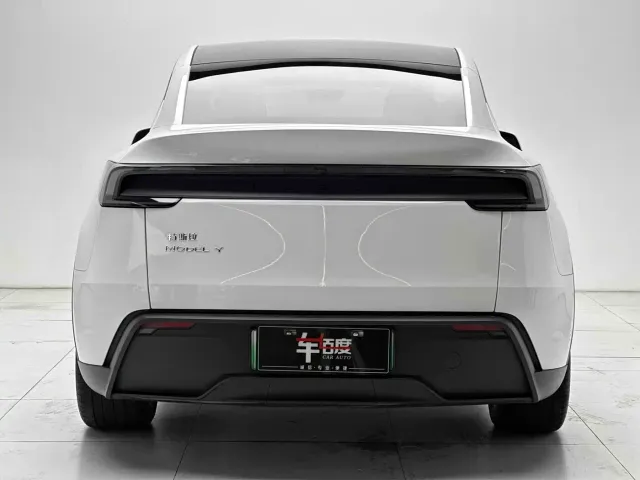 Tesla Model Y — Фото автомобиля 5