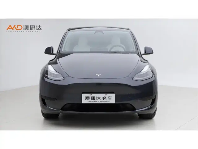 Tesla Model Y — Фото автомобиля 2