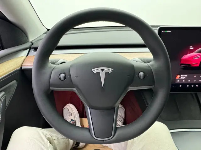 Tesla Model Y — Фото автомобиля 17