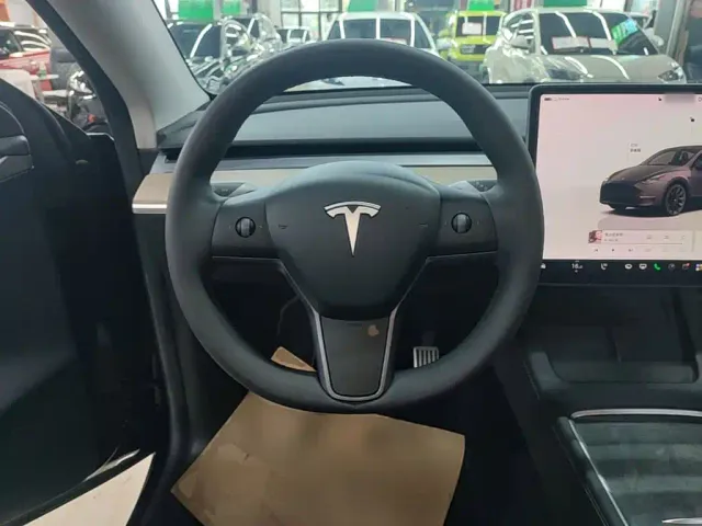 Tesla Model Y — Фото автомобиля 10