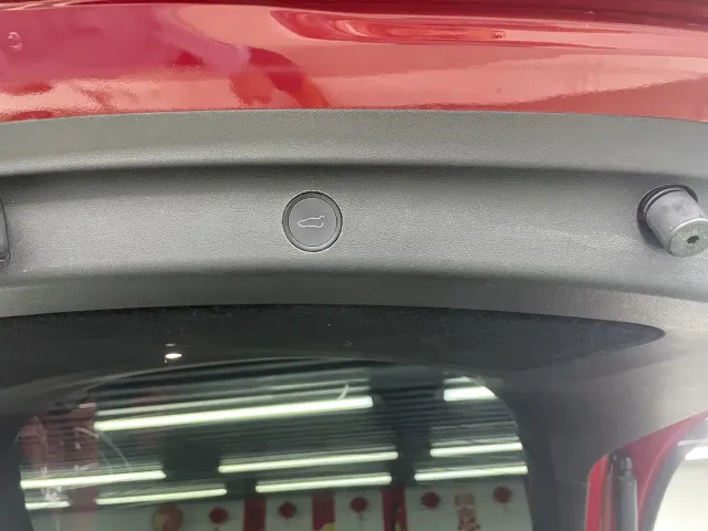 Tesla Model Y — Фото автомобиля 27