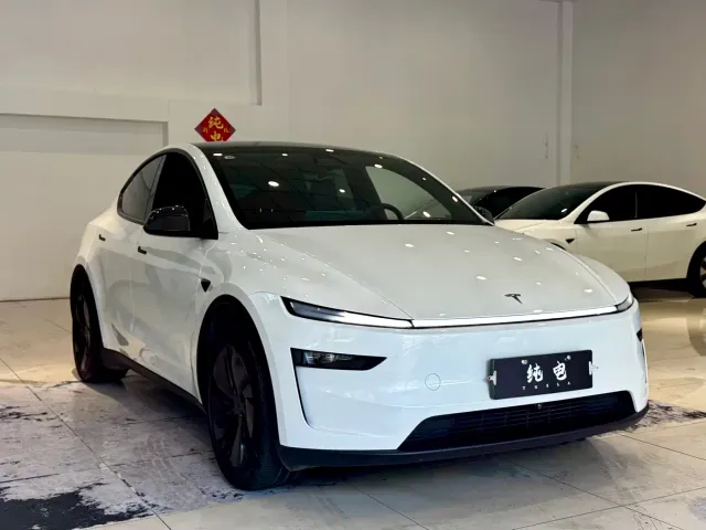 Tesla Model Y — Фото автомобиля 3