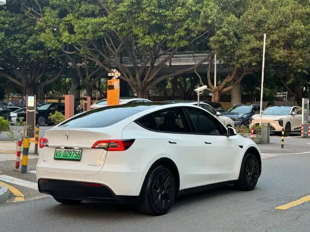 Tesla Model Y — Фото автомобиля 11