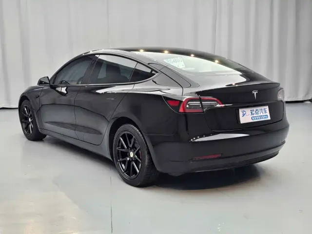Tesla Model 3 — Фото автомобиля 4