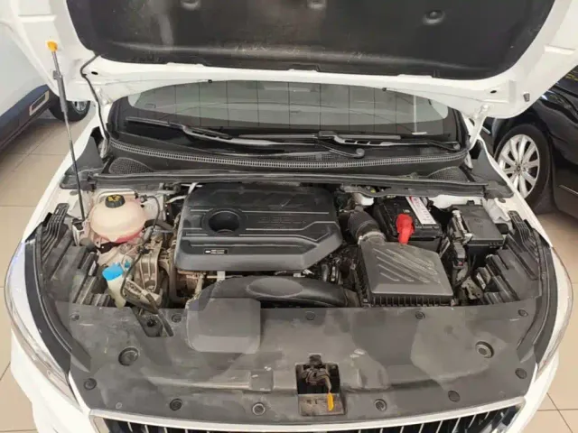 Geely Emgrand S — Фото автомобиля 19