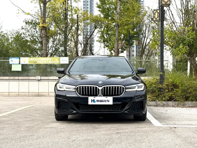 BMW 5 Series — Фото автомобиля 2