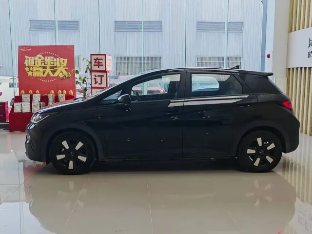 BYD Dolphin — Фото автомобиля 4