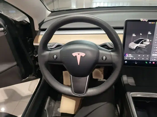 Tesla Model 3 — Фото автомобиля 10