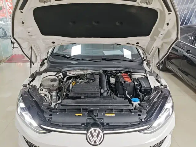 Volkswagen Lamando — Фото автомобиля 19