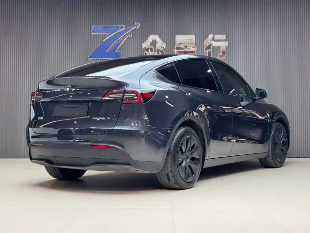 Tesla Model Y — Фото автомобиля 11