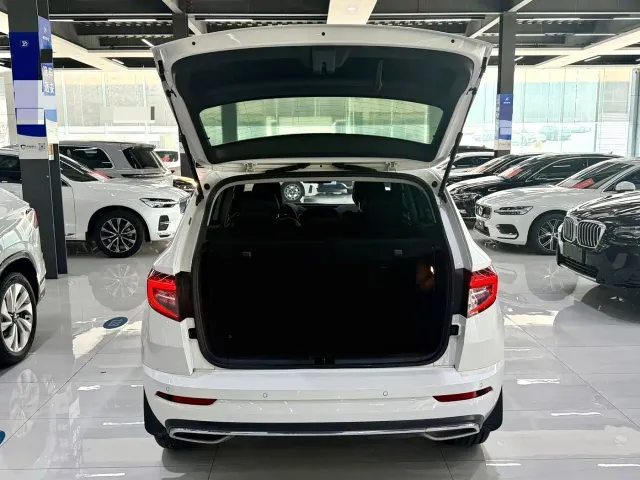 Skoda Karoq — Фото автомобиля 14