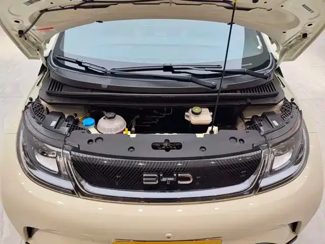 BYD Dolphin — Фото автомобиля 12
