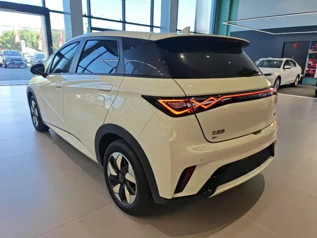 BYD Dolphin — Фото автомобиля 4