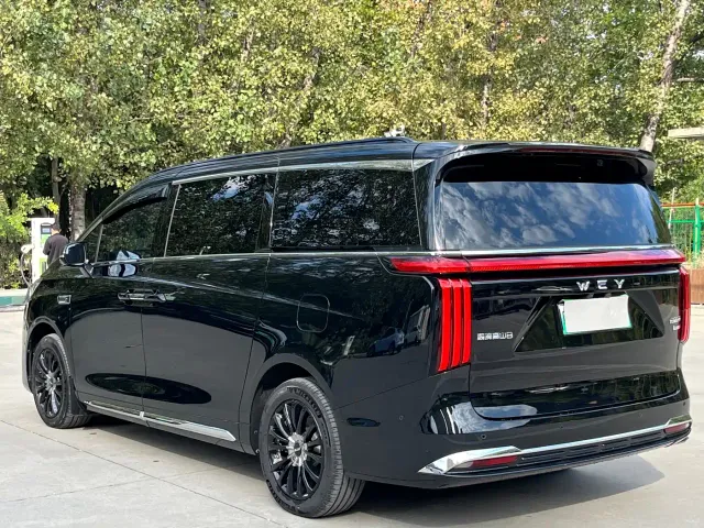 Wey Alpine — Фото автомобиля 7
