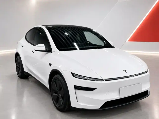 Tesla Model Y — Фото автомобиля 3