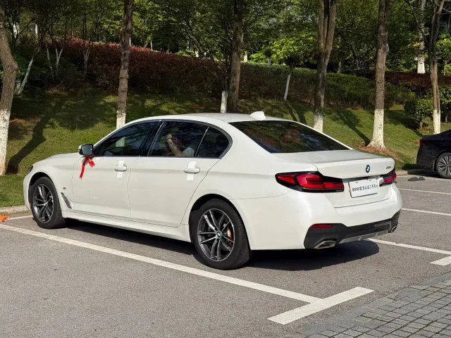 BMW 5 Series — Фото автомобиля 11