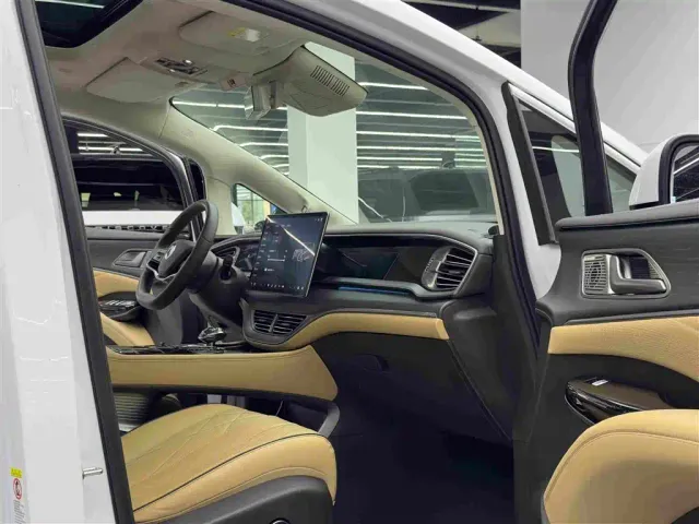 Denza D9 — Фото автомобиля 10