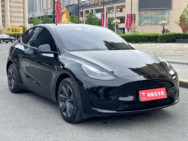 Tesla Model Y — Фото автомобиля 2