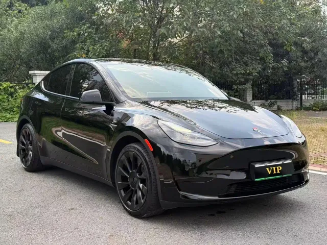 Tesla Model Y — Фото автомобиля 3