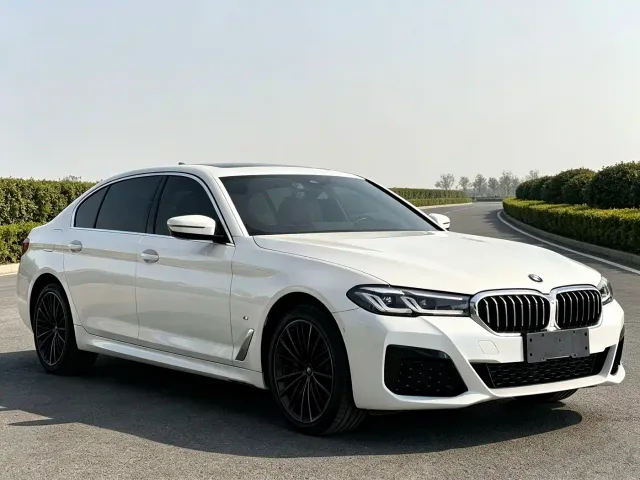 BMW 5 Series — Фото автомобиля 3