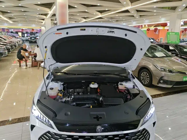 BYD Qin PLUS — Фото автомобиля 19