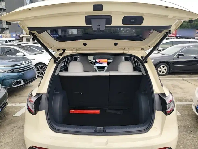 Geely Starry Wish — Фото автомобиля 18
