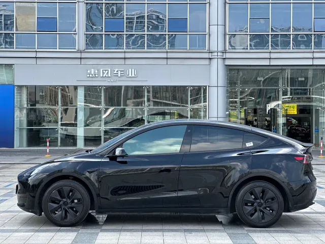 Tesla Model Y — Фото автомобиля 7