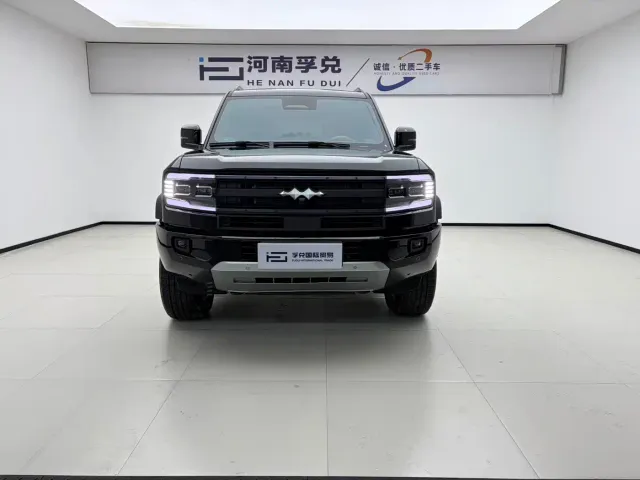 BYD FangChengBao Leopard 5 — Фото автомобиля 2