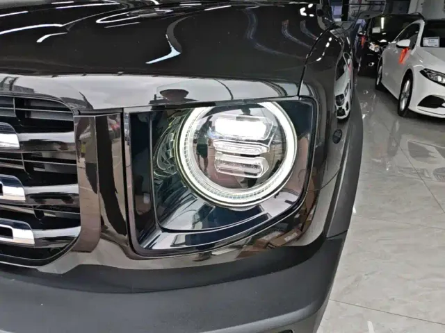 Haval Haval Big Dog 2021 1.5T DCT 2WD Border Collie Edition — Фото автомобиля 23