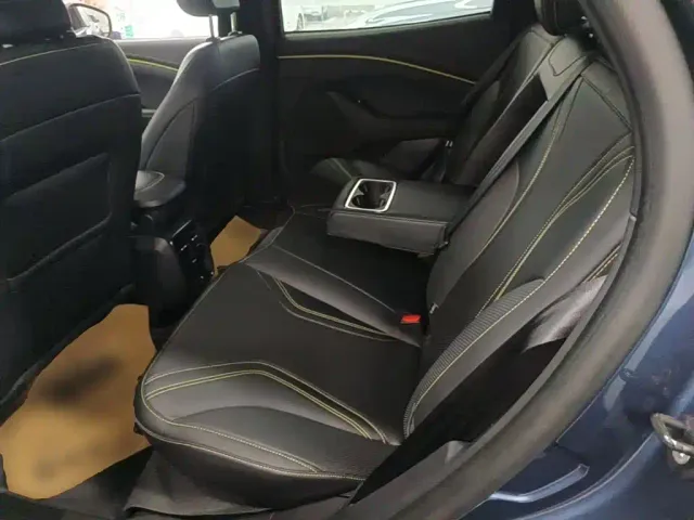 Ford Mustang Mach-E — Фото автомобиля 16
