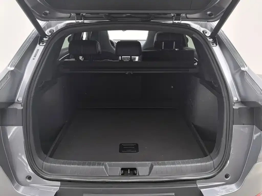 BYD Song PLUS PHEV 2021 EV Flagship — Фото автомобиля 16
